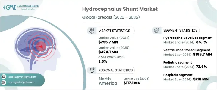 腦積水流術市場 - IMG1