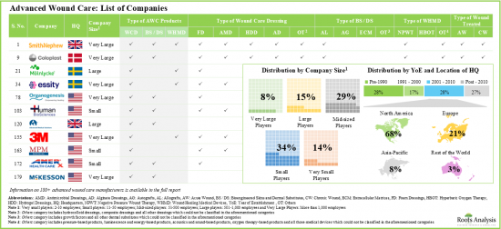 Advanced Wound Care Market - IMG1