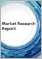 2024 年全球物理治療用品市場報告