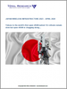 日本無線基礎設施市場：2024 年 4 月