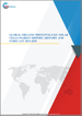 有機太陽能電池的全球市場，實際成果與預測(2019年～2030年)