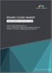 全球私有雲端市場：市場規模、佔有率、成長分析、按服務模式、按類型、按組織規模、按行業、按地區 - 預測到 2029 年