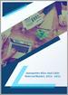 汽車用電線、電纜材料的全球市場:成長，未來展望，競爭分析 (2024年～2032年)
